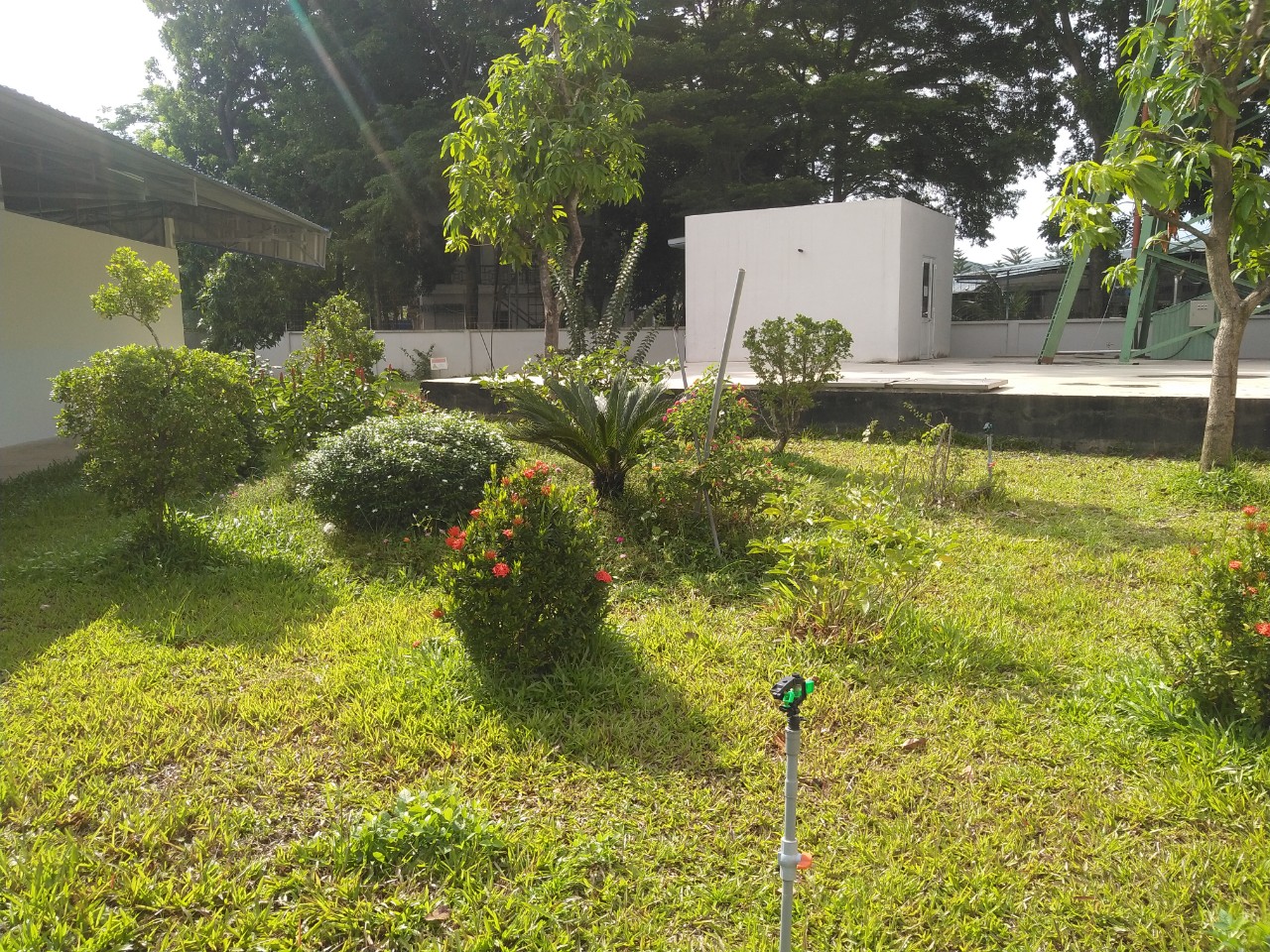 Dịch vụ cây xanh Long An