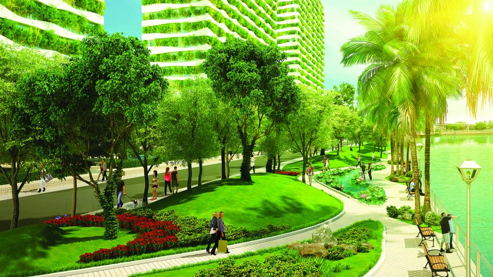 Trồng cỏ công trình Long An