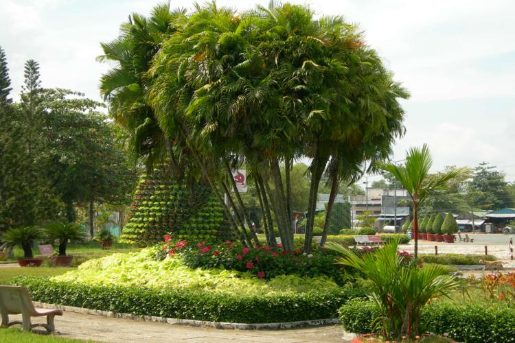 Báo giá trực tiếp