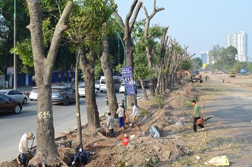 Đa dạng dịch vụ lựa chọn