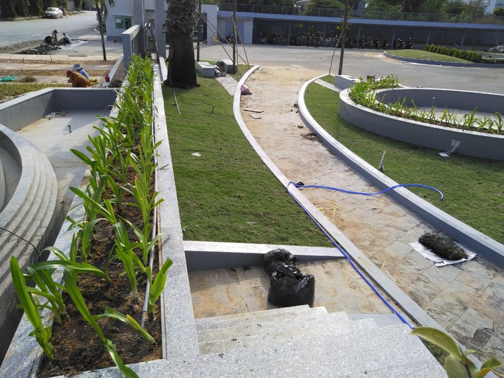 Dịch vụ cây xanh tại Long An