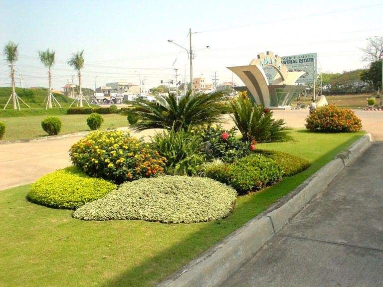 Quy trình chăm sóc cỏ đạt chuẩn