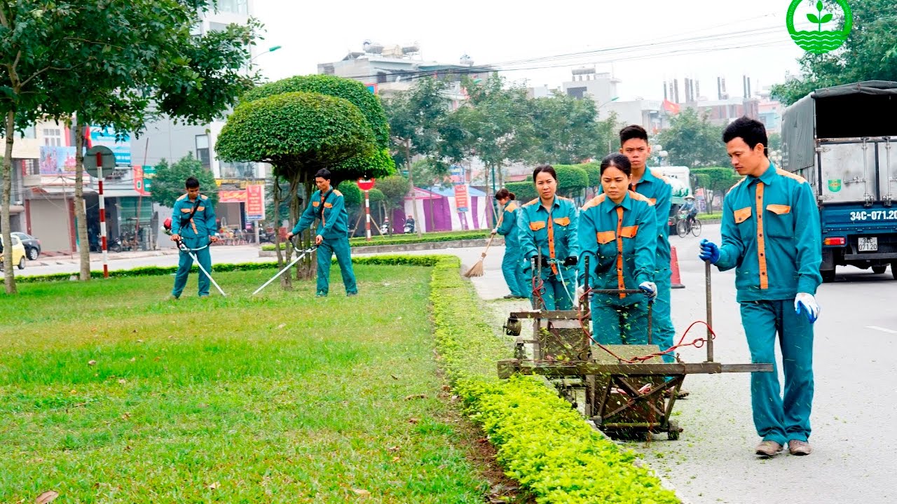 Chăm sóc cây xanh KCN Long An