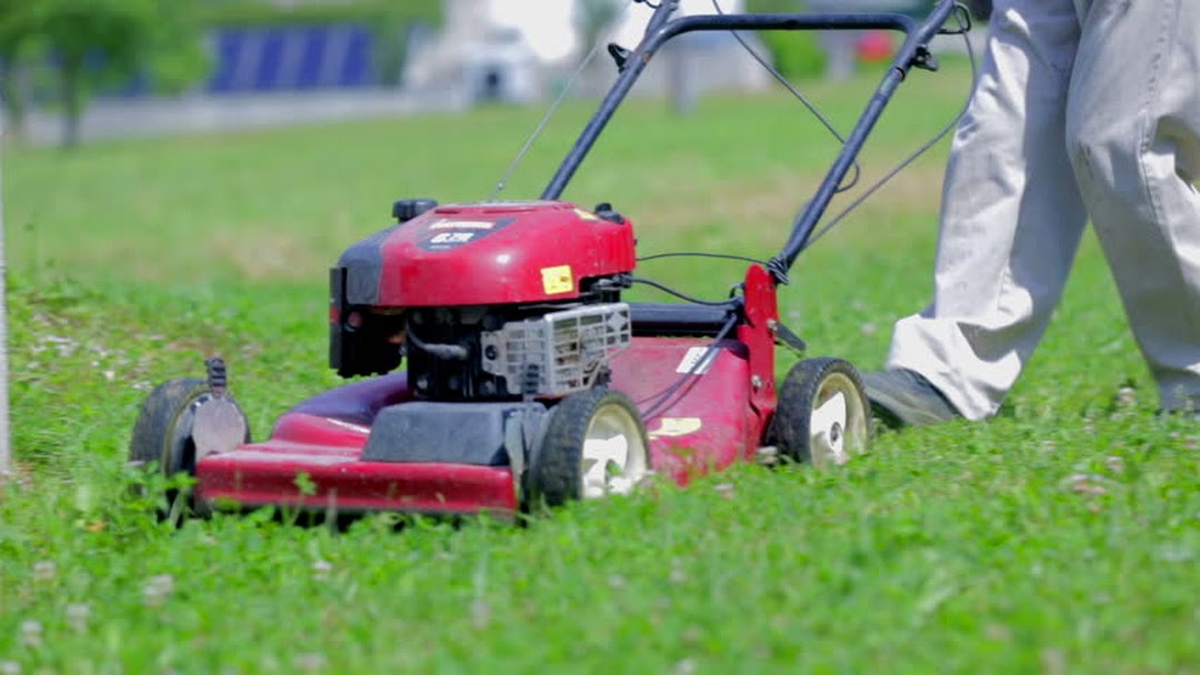 Chọn dịch vụ chăm sóc thảm cỏ KCN Vĩnh Lộc 2 uy tín