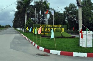 Dịch vụ trồng cỏ uy tín cho KCN Phú An Thạnh