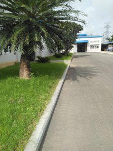 Nơi chăm sóc thảm cỏ KCN Thuận Đạo số 1 tại Long An