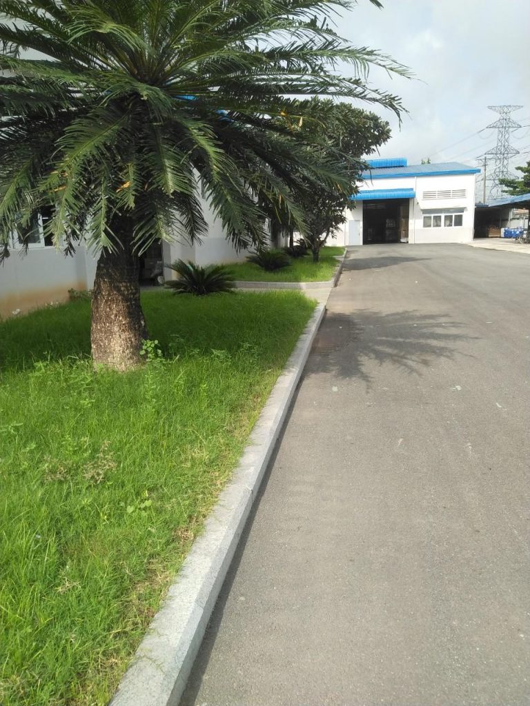 Nơi chăm sóc thảm cỏ KCN Thuận Đạo số 1 tại Long An