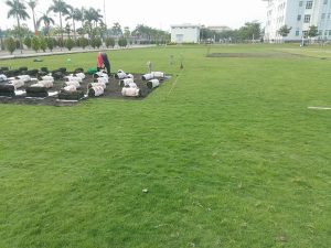 Trồng cỏ KCN Thạnh Đức chuyên nghiệp