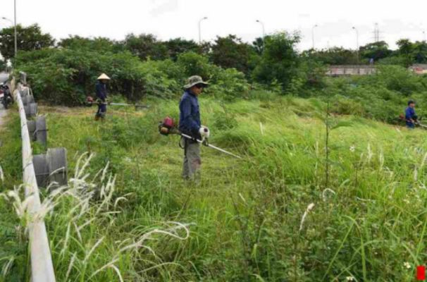 Phát hoang cỏ dại khu công nghiệp Nhựt Chánh với Lộc Nguyên