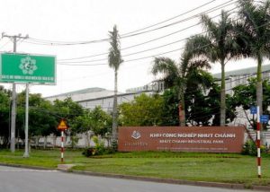 Thuê chăm sóc thảm cỏ KCN Nhựt Chánh