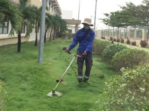 Dịch vụ phát hoang cỏ dại KCN Long Hậu Long An