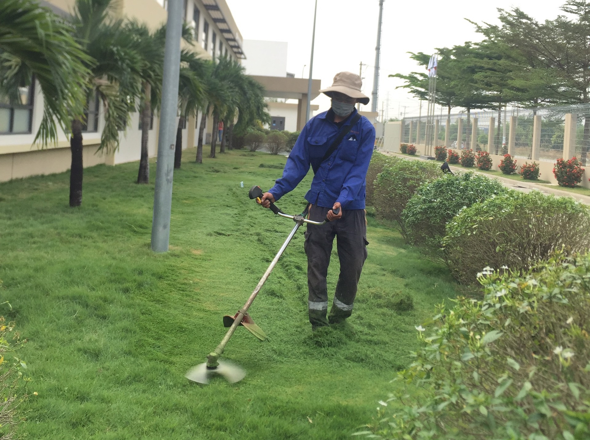 Dịch vụ phát hoang cỏ dại KCN Long Hậu Long An