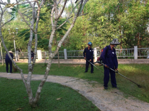 Đơn vị phát hoang cỏ dại KCN Nam Tân Tập