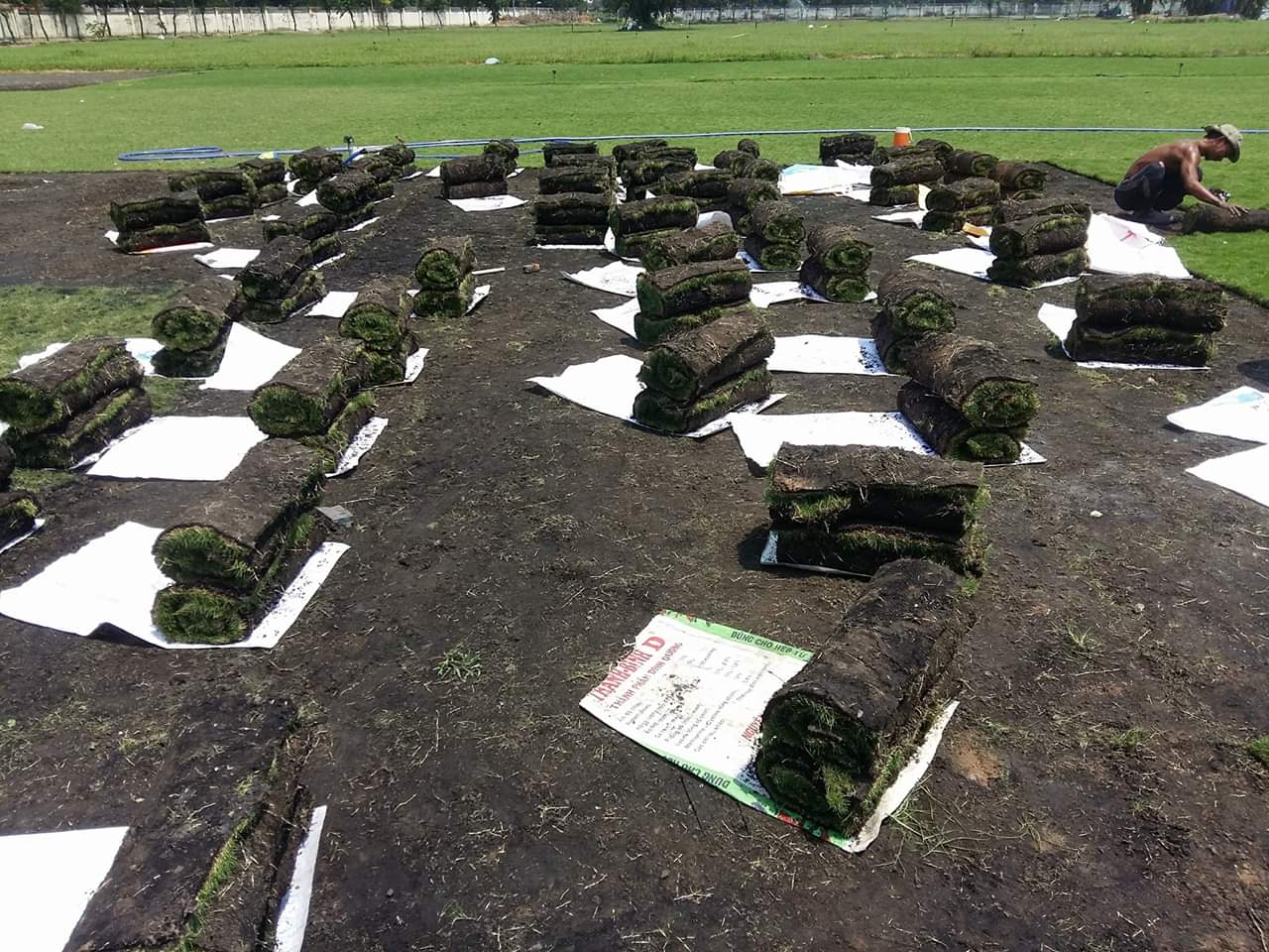 Dịch vụ trồng cỏ uy tín cho KCN Cầu Tràm