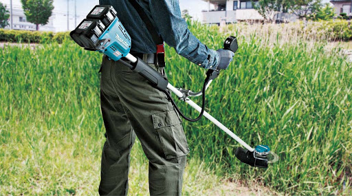 Phát hoang cỏ dại tại Long An