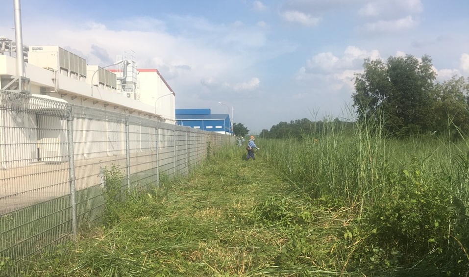Phát hoang cỏ dại khu công nghiệp Bắc Tân Tập với Lộc Nguyên