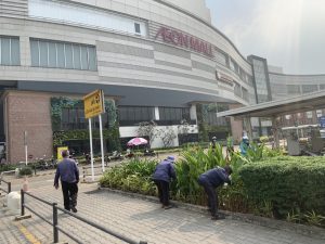 Công ty chăm sóc cây xanh tại Hồ Chí Minh