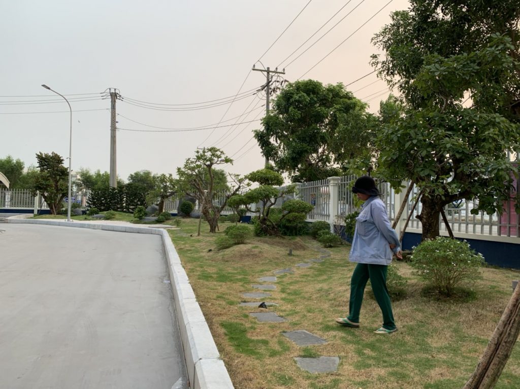 Công ty chăm sóc cây xanh tại Thủ Đức giá rẻ