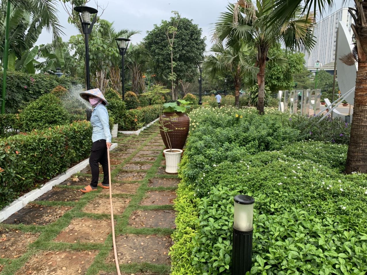 Công việc chăm sóc cây xanh tại Hồ Chí Minh của Lộc Nguyên