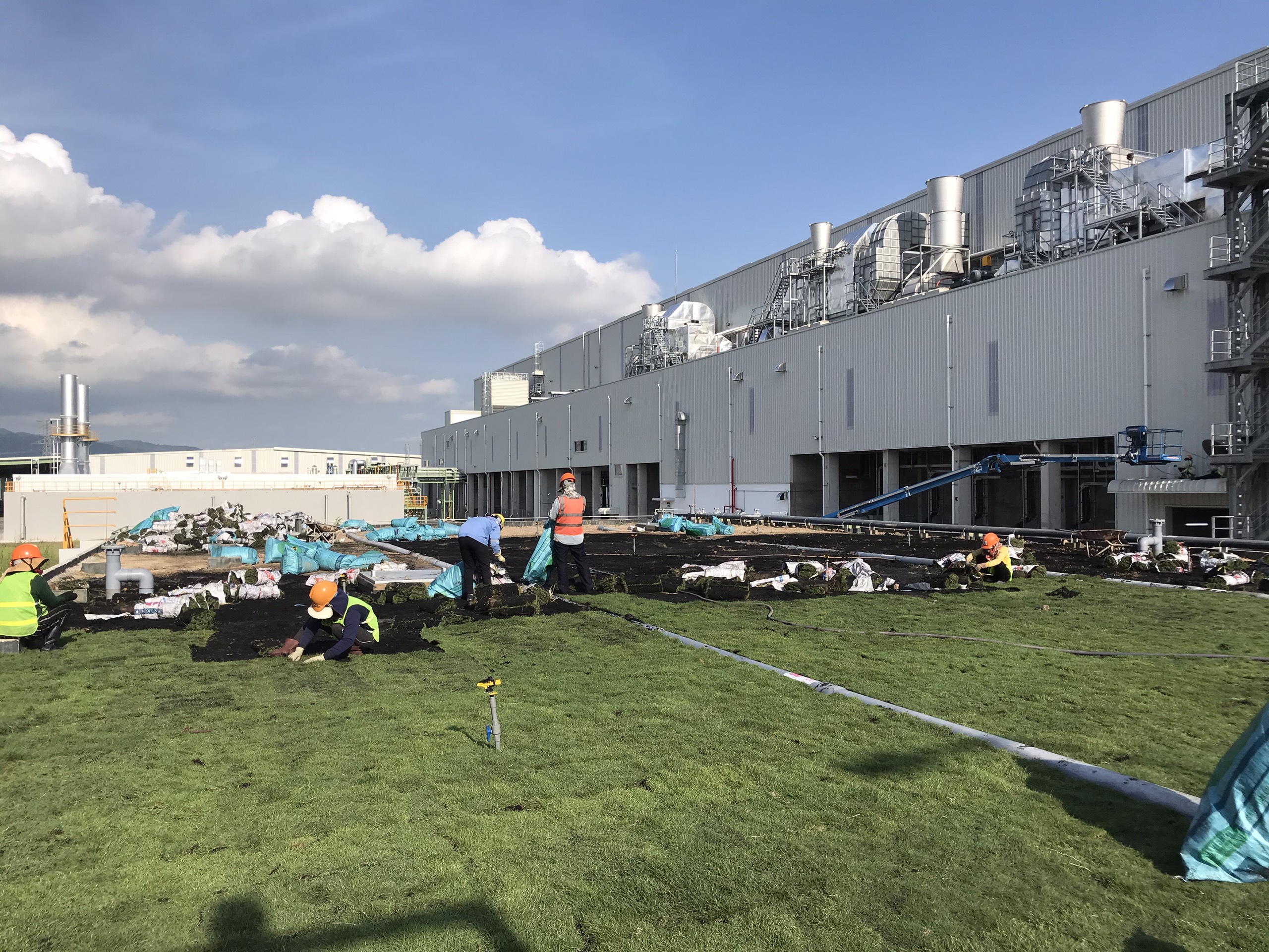 Dịch vụ trồng cỏ cho KCN Bắc Tân Tập