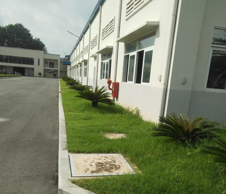 Dịch vụ trồng cỏ cho KCN Tân Bửu - Phúc Long