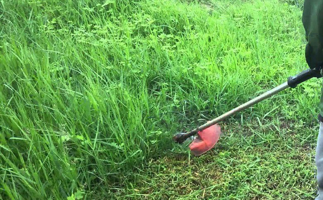 Dịch vụ cắt cỏ phát hoang tại Thủ Đức giá rẻ của Lộc Nguyên