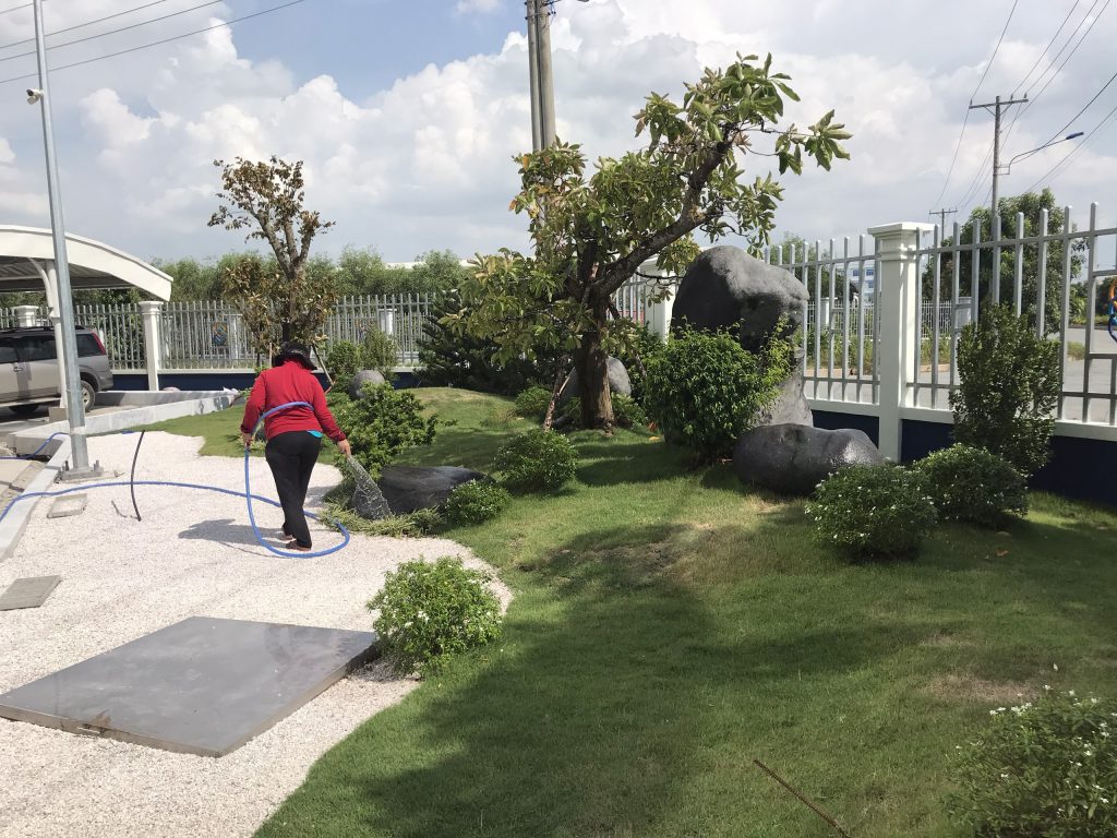 Dịch vụ chăm sóc cây xanh tại Quận 1 do Lộc Nguyên thực hiện