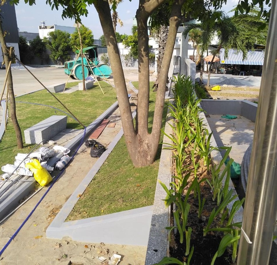 Quy trình trồng cỏ trồng cây xanh tại Thủ Đức của Lộc Nguyên