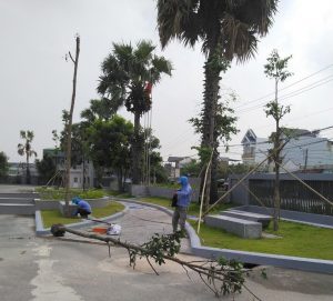 Đơn vị thi công cây xanh uy tín tại TPHCM