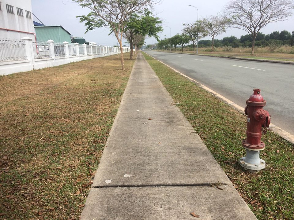 thực hiện cắt cỏ thảm tại Hồ Chí Minh từ Lộc Nguyên