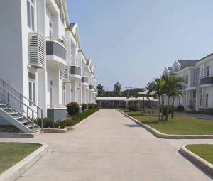 Trồng cỏ trồng cây xanh tại Hồ Chí Minh uy tín