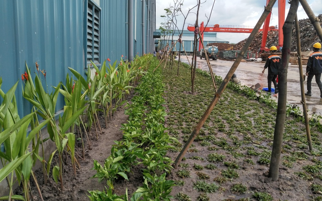 Thi công cây xanh tại Quận 3 giá rẻ