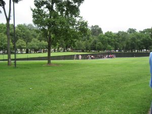 Trồng cỏ trồng cây xanh tại Quận 3 uy tín