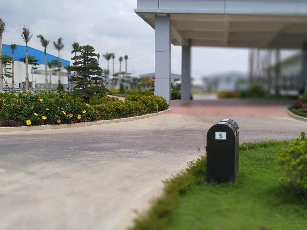 Trồng cỏ trồng cây xanh tại Quận 6