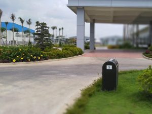 Trồng cỏ trồng cây xanh tại Quận 6