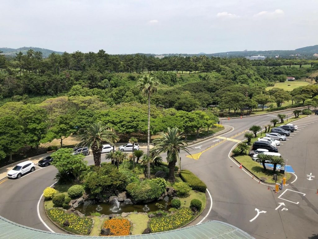 Công ty chăm sóc cây xanh tại quận 8