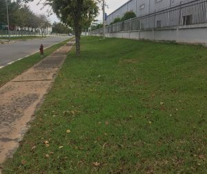 Đơn vị cắt cỏ tại Quận 6 Hồ Chí Minh uy tín