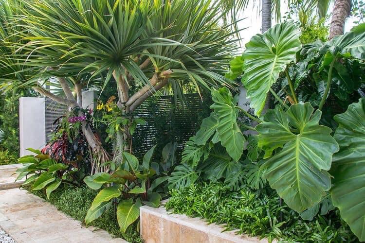 Tầm quan trọng của cây xanh