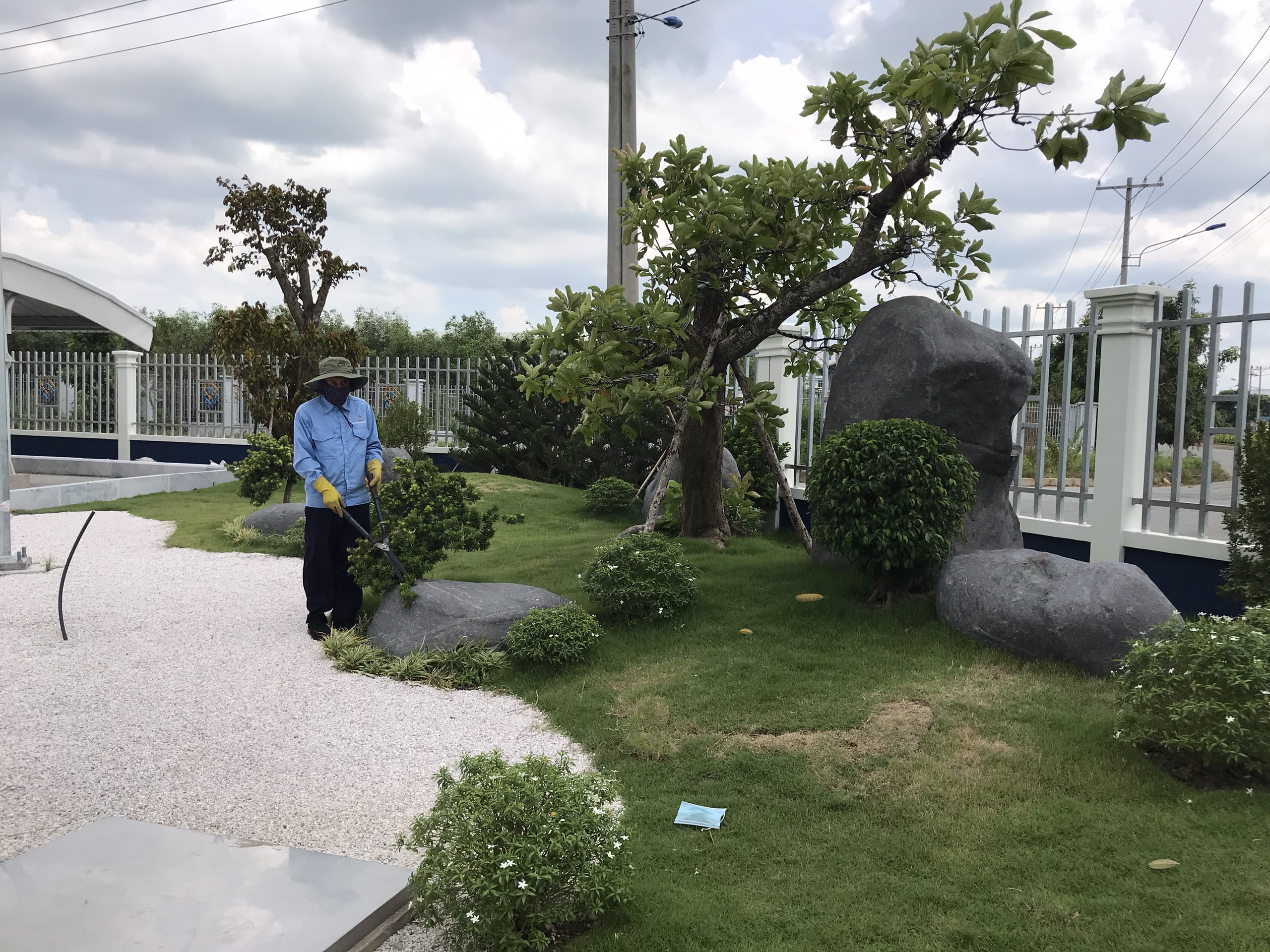 Công ty thi công cây xanh tại Quận 11 giá rẻ