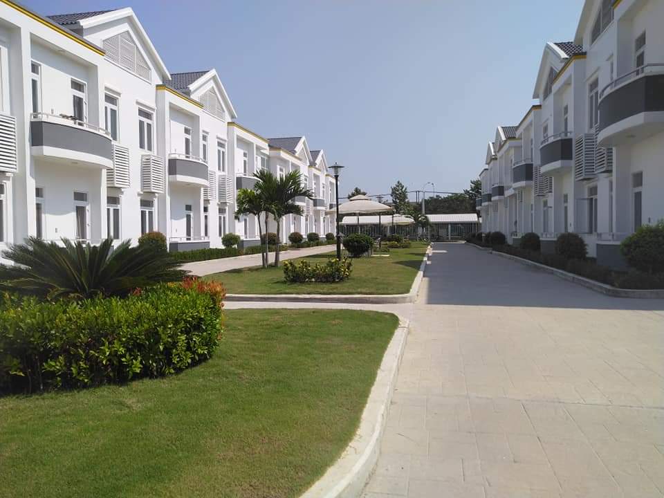 Thuê đơn vị trồng cỏ trồng cây xanh chuyên nghiệp