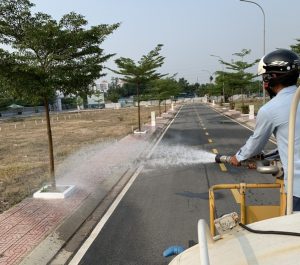 Công ty chăm sóc cây xanh tại Bình Thạnh Hồ Chí Minh
