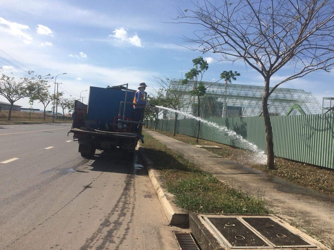 Công ty chăm sóc cây xanh tại Quận 12 Hồ Chí Minh