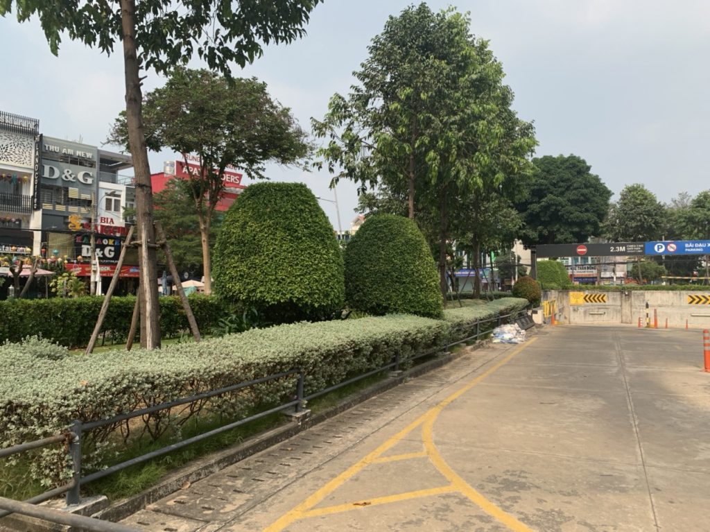 Cảnh quan cây xanh