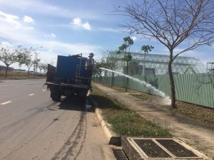 Công ty chăm sóc cây xanh tại Gò Vấp HCM