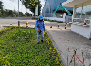 Đơn vị cắt cỏ tại quận 12 giá rẻ, uy tín - Lộc Nguyên