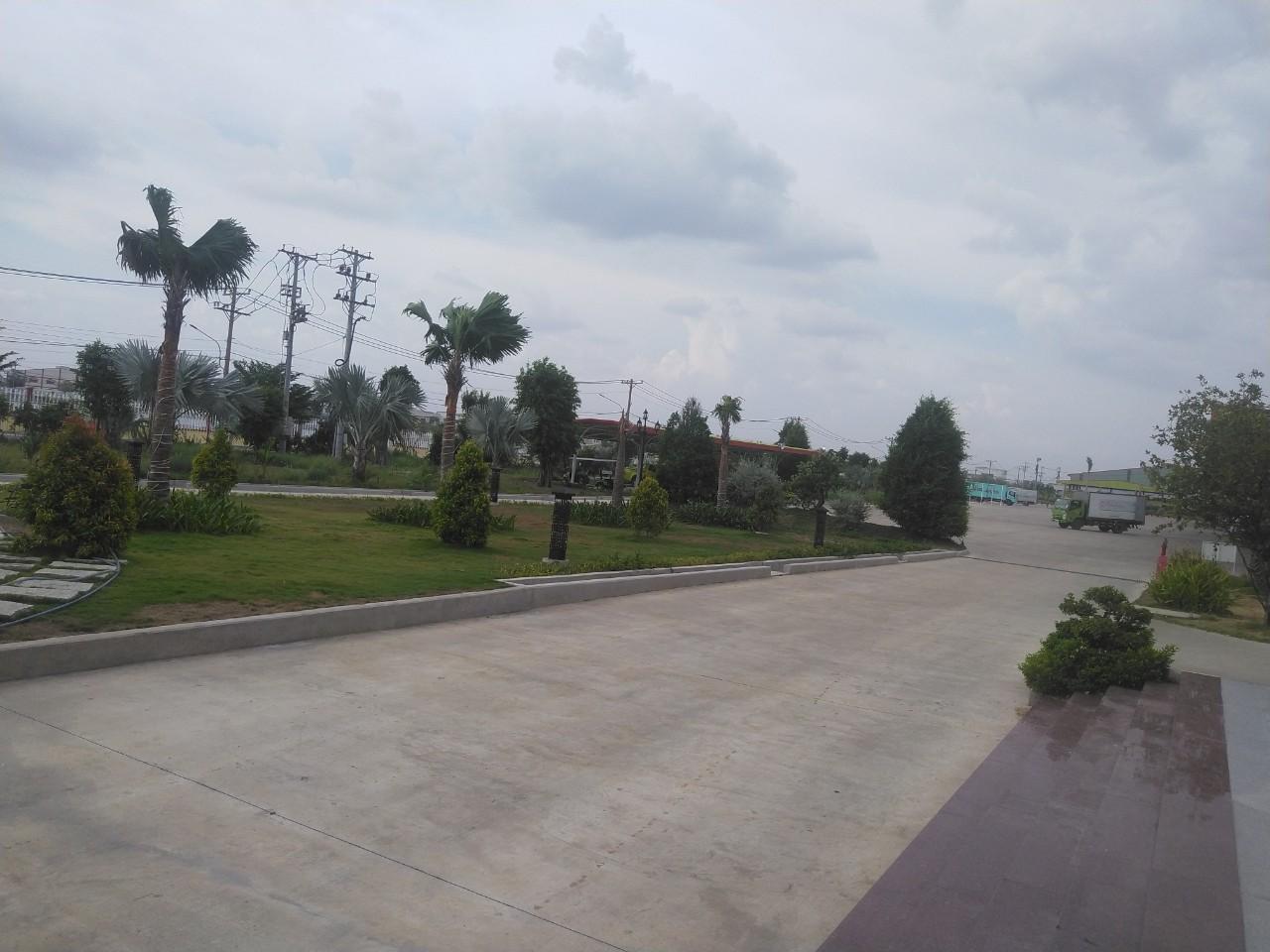 Đơn vị Trồng cỏ trồng cây xanh tại Bình Tân uy tín