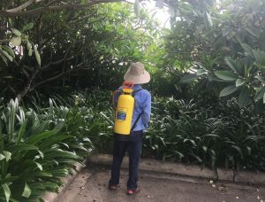 Công ty chăm sóc cây xanh tại Phú Nhuận uy tín