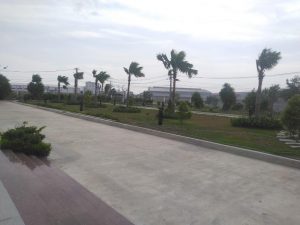 Công ty chăm sóc cây xanh tại Tân Bình Hồ Chí Minh