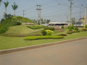 Dịch vụ thi công cây xanh tại Tân Bình Tp HCM giá rẻ