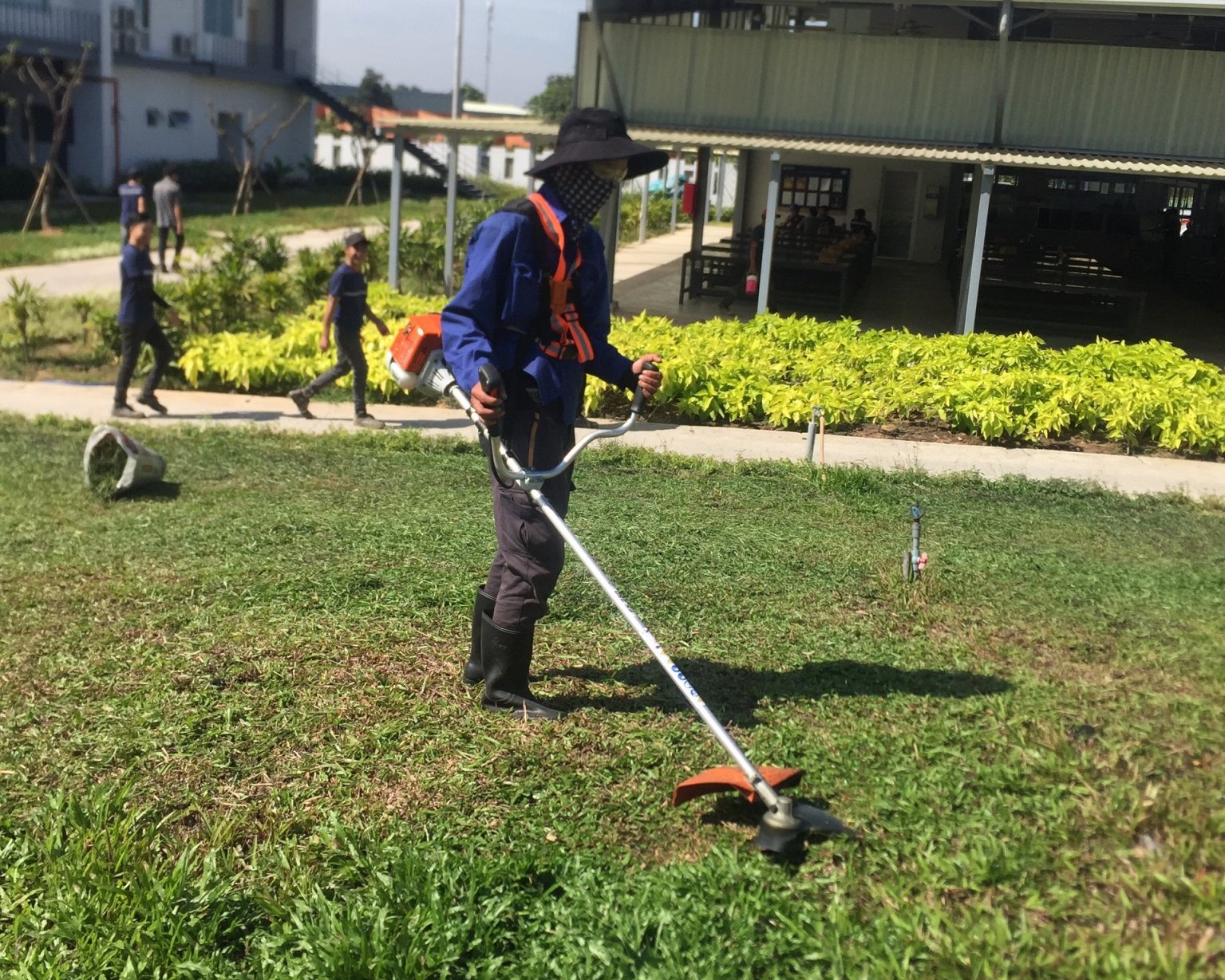 Dịch vụ cắt cỏ tại Bình Tân Hồ Chí Minh giá rẻ của Lộc Nguyên